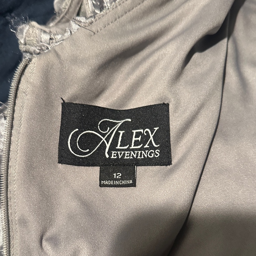 Alex Evenings Silver Dress